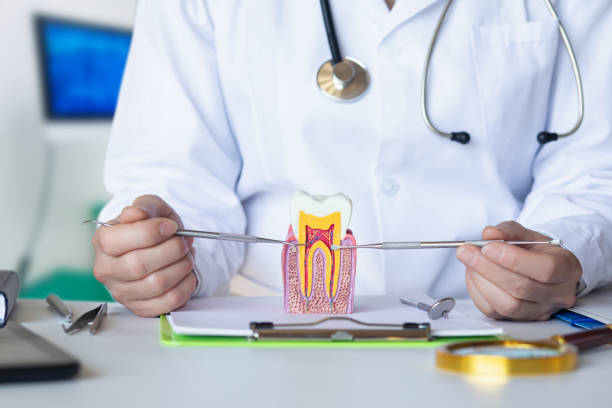 Best Tooth Pain Emergency Relief  in Roscommon, MI